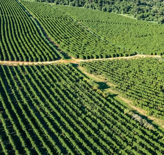 Aberto o prazo para entrega da Declaração do Imposto Territorial Rural.