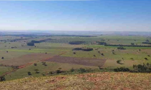 ACORDO HISTÓRICO: GOVERNO FEDERAL PAGARÁ R$ 584 MILHÕES À ARAUPEL PARA CRIAR NOVOS ASSENTAMENTOS NO OESTE
