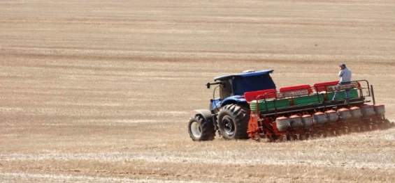 AGRICULTURA: Após vazio sanitário, plantio de soja já começou no Paraná; colheita do milho está no fim.