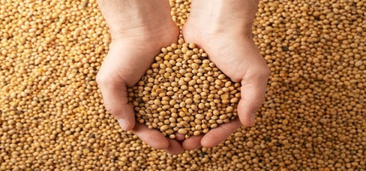 AGRICULTURA: Aprosoja Brasil pede medidas do governo para socorrer produtores.