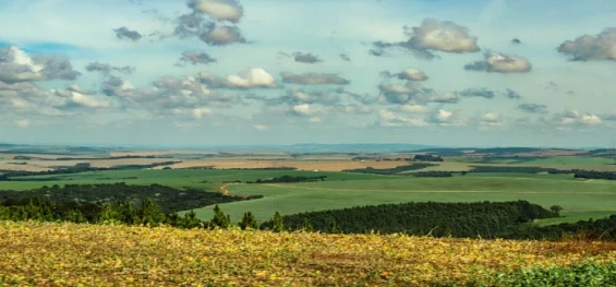 AGRICULTURA: Boletim do IDR-Paraná analisa chuvas em junho e o reflexo na produção agrícola.