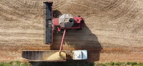 AGRICULTURA: Com baixa cotação, comercialização da safra recorde de soja ainda está lenta no Paraná.