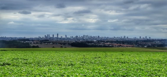 AGRICULTURA: Com expansão de 37%, safra de grãos 22/23 deve chegar a 46,6 milhões de toneladas no Paraná.