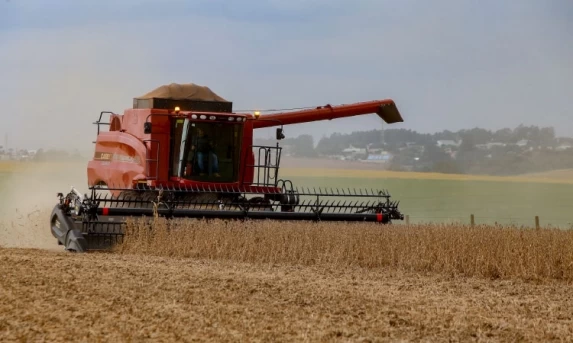 AGRICULTURA: Condições climáticas desfavoráveis reduzem previsão de safra do verão paranaense.