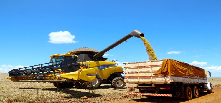 AGRICULTURA E ABASTECIMENTO: Exportações do agro paranaense cresceram 35,6% até novembro, acima da média nacional.