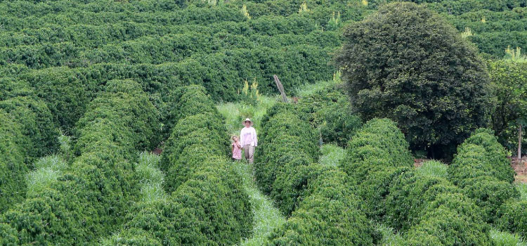 AGRICULTURA E ABASTECIMENTO: Governo formaliza novas regras e ampliação do Banco do Agricultor Paranaense.