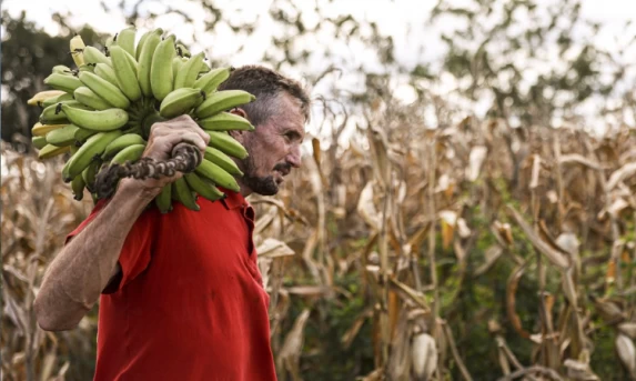 Agricultura Familiar: Câmara aprova até R$ 500 milhões de Fundo Garantidor para impulsionar crédito do Pronaf