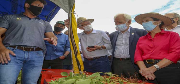 AGRICULTURA: Ministério da Agricultura e Estado avaliam efeitos da estiagem e apoiam produtores do Paraná