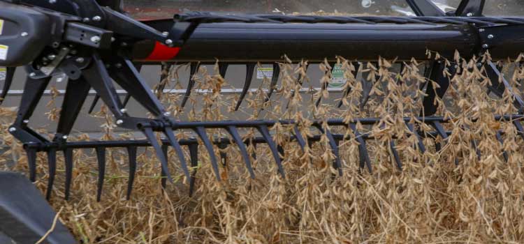 AGRICULTURA: Quatro municípios paranaenses estão entre os mais ricos do agronegócio brasileiro