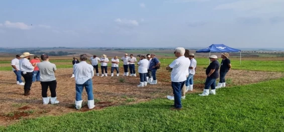 AGRICULTURA:  Produtores que adotam manejo integrado de pragas reduzem em 53% o uso de inseticidas.