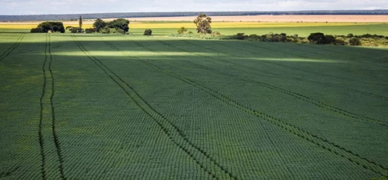 AGRICULTURA: Senado aprova mudança no cálculo do preço mínimo de produtos agrícolas.