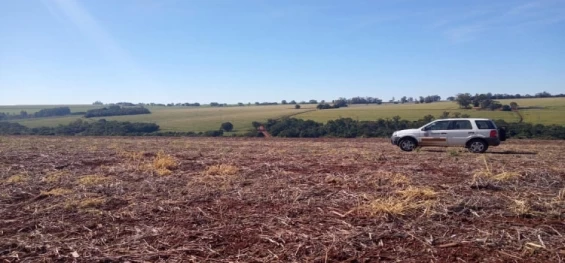 AGRICULTURA: Vazio sanitário da soja começa neste sábado no Paraná.