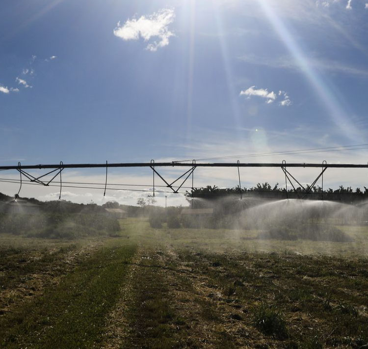 AGRO: BNDES antecipa liberação de R$ 5,1 bilhões para o Plano Safra.