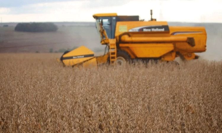 AGRO: Colheita de soja atinge 8,6% da área no Brasil, diz Conab.