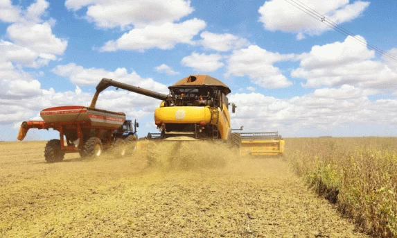 AGRO: Com colheita de soja em 16% da área no Brasil, alerta agora é no Sul.