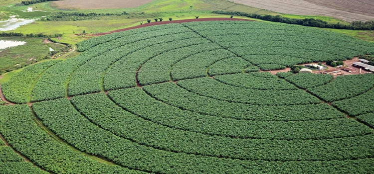 AGRO: Governo publica novas regras para registro de defensivos agrícolas