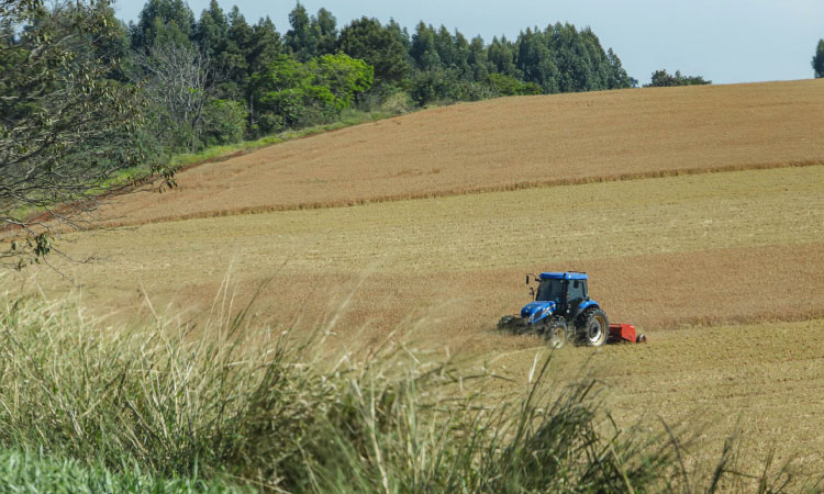 AGRO: Impacto do clima na safra 2023/24 exige ajuste de preços para garantir renda ao agricultor.