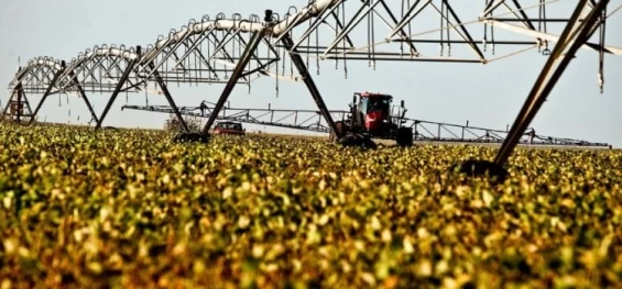 AGRO: Veja o ranking das 100 cidades mais ricas do agronegócio no Brasil.