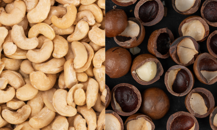 Agronegócio: Brasil expande fronteiras e conquista novos mercados para carne suína e castanhas