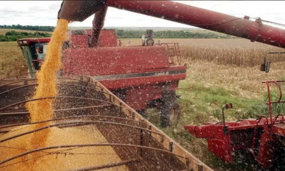 Agronegócio: Produção de grãos no Brasil deve atingir recorde histórico de 356 milhões de toneladas