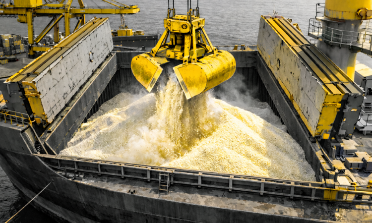 Agronegócio: Rabobank projeta queda na demanda por fertilizantes no Brasil em 2026 após recordes