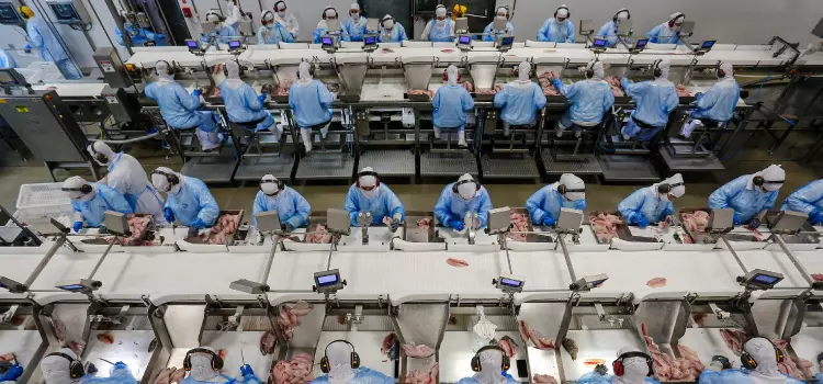 Arábia susupende compra de carne de ave de 11 frigoríficos do Brasil