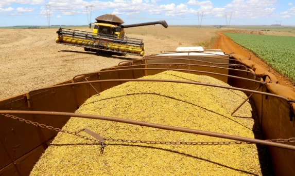 Boletim analisa safra de 18,8 milhões de toneladas de soja no Paraná e preços das carnes.