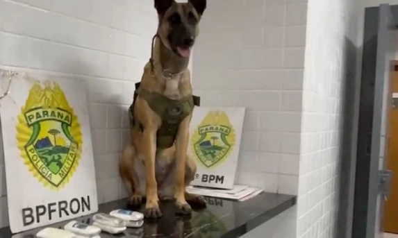 BPFron Apreende Haxixe, Maconha e Cigarros em Fiscalização na BR-277, em Cascavel