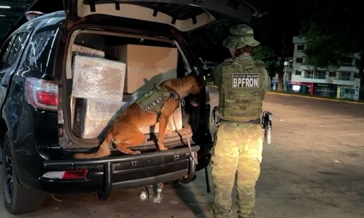 BPFron apreende uma tonelada de maconha e eletrônicos na rodoviária de Cascavel.