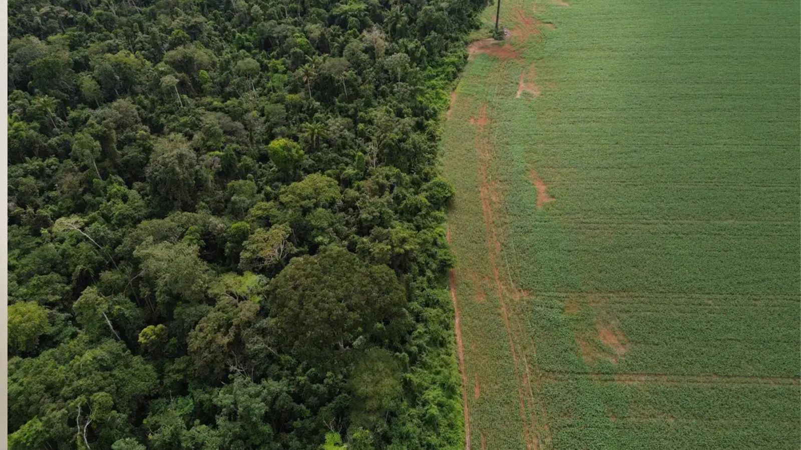 Brasil apresenta propostas de financiamento climático em evento da ONU em Nova York