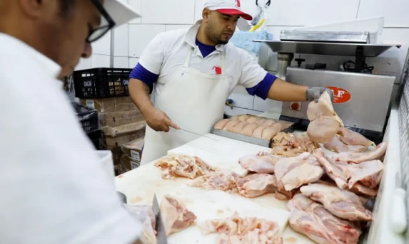 Brasil se declara país livre da gripe aviária