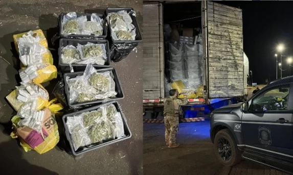 Cães farejadores da PRF são decisivos na apreensão de 87 kg de drogas em Santa Tereza do Oeste