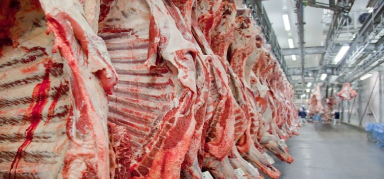 CARNE BOVINA: Exportação atinge 89,807 mil toneladas em março.