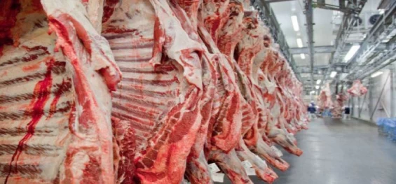 CARNE BOVINA: Exportações brasileiras perdem força na 1ª semana de julho/23.