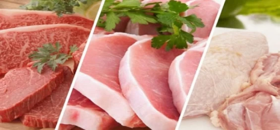 CARNE: Brasil deve ter recorde de produção em 2023, diz Conab.