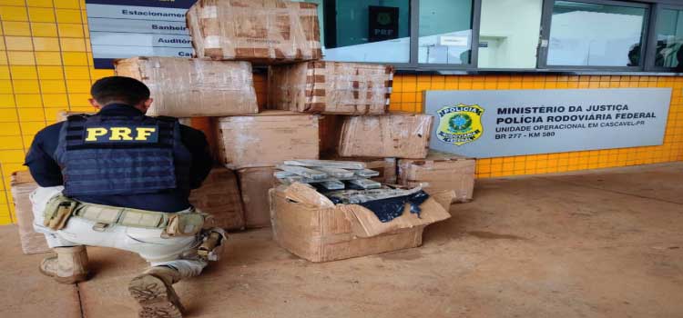 CASCAVEL: PRF apreende 654 kg de maconha em veículo de carga roubado.