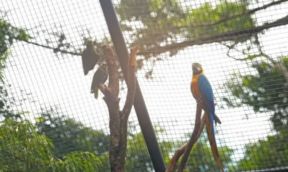 CASCAVEL: Zoo volta a abrir somente nos finais de semana.