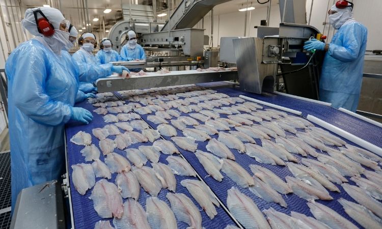 Com início da Quaresma, preço da tilápia cai no Paraná e favorece consumidores