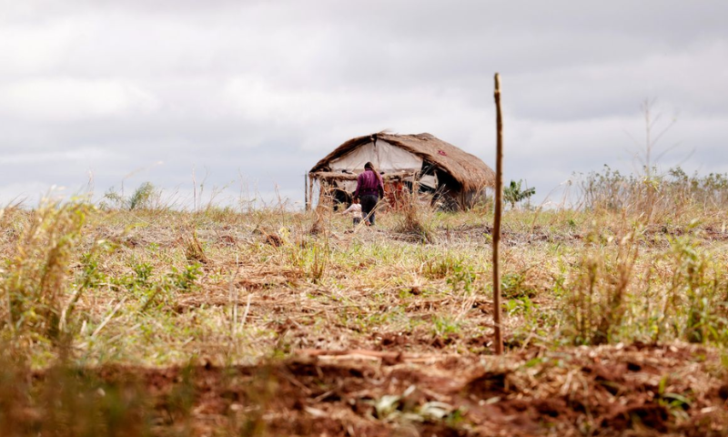 Comissão Pastoral da Terra aponta redução nas mortes no campo, mas aumento no número de conflitos no 1º semestre de 2026