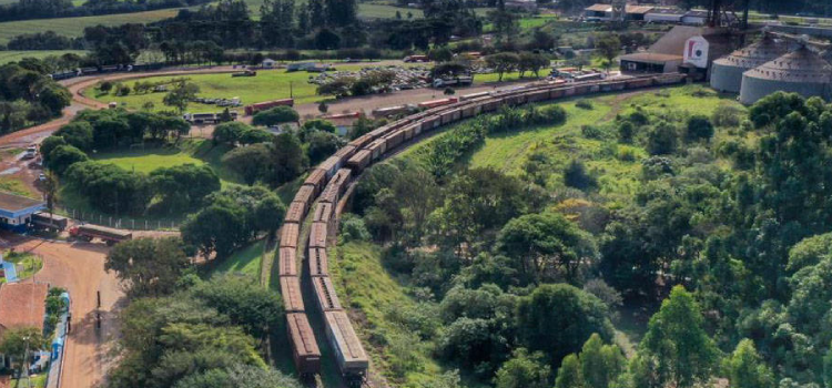 Comunidade indígena Rio das Cobras aprova estudo da Nova Ferroeste