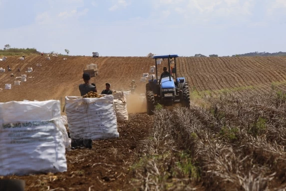 Conselho Monetário Nacional autoriza produtores a renegociar dívidas do crédito rural.