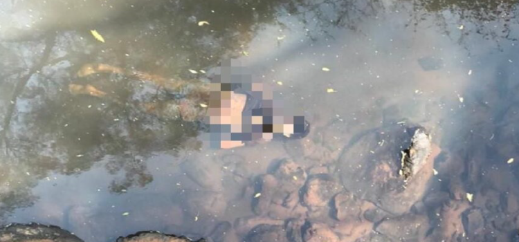 CORONEL VIVIDA: Corpo de homem é encontrado dentro de rio às margens da PR-562.