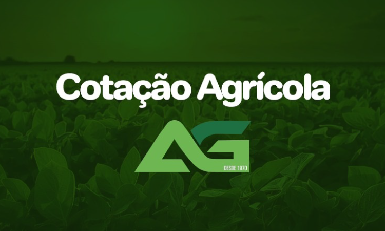 Cotações Agrícolas para esta Quarta-feira 08 de Maio 2024.