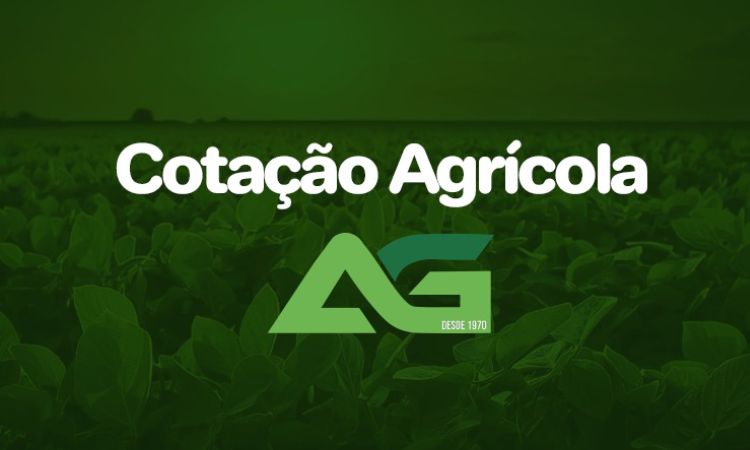 Cotações Agrícolas para esta Quarta-feira 10 de Junho de 2026