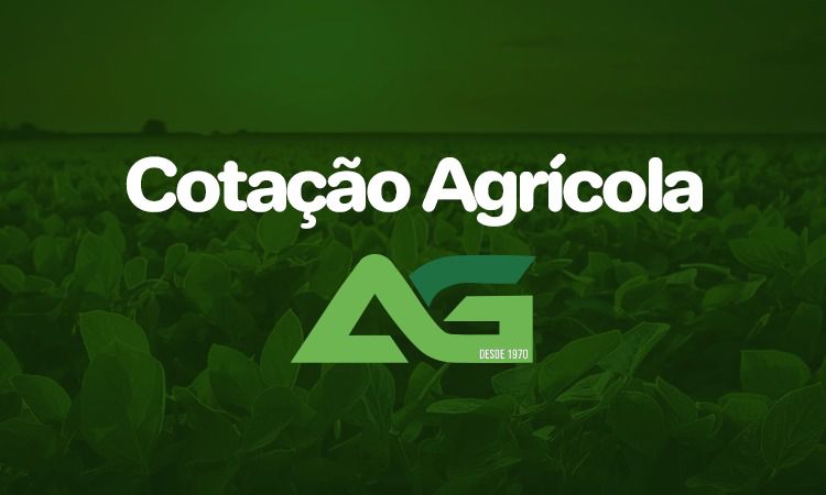 Cotações Agrícolas para esta Quarta-feira 10 de Setembro de 2025