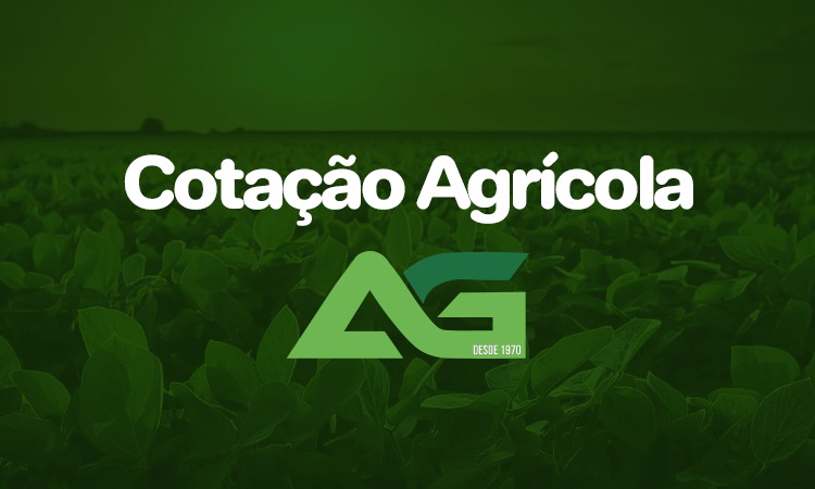 Cotações Agrícolas para esta Quarta-feira 12 de Novembro de 2025