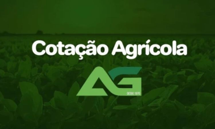 Cotações Agrícolas para esta Quinta-feira 04 de Dezembro de 2025