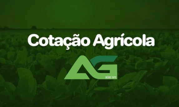 Cotações Agrícolas para esta Quinta-feira 25 de Junho de 2026