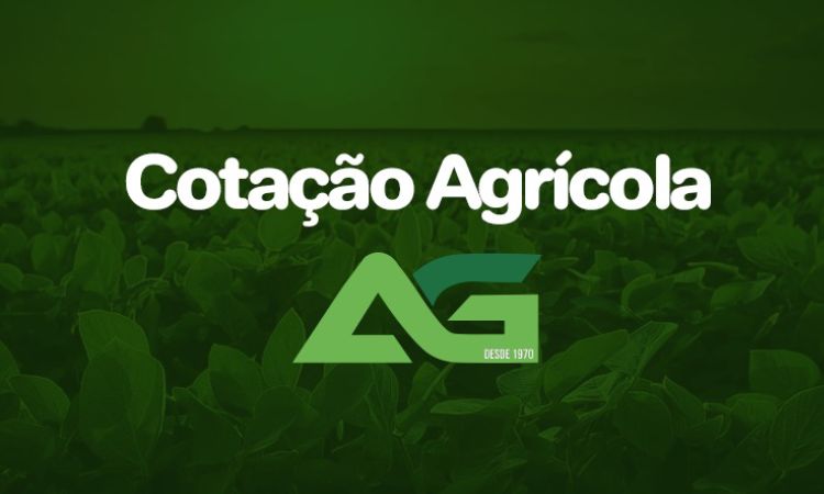 Cotações Agrícolas para esta Terça-feira 04 de Agosto de 2026
