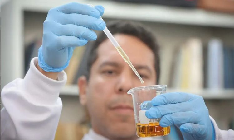 Crise do Metanol Completa Um Mês com Alerta Máximo para Falsificação de Bebidas Crise do Metanol Completa Um Mês com Alerta Máximo para Falsificação de Bebidas